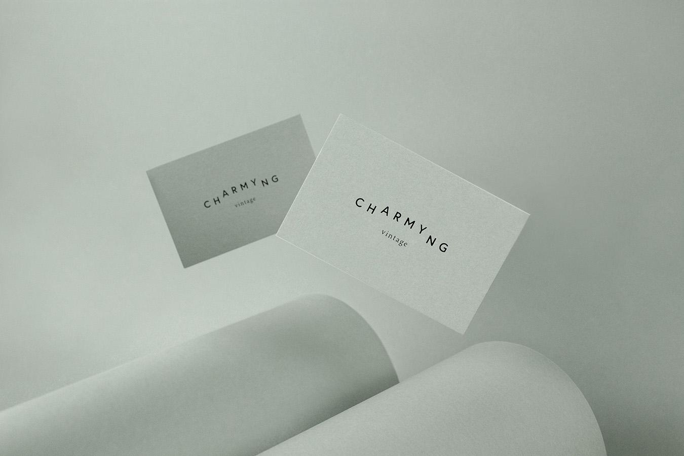 Bulk Classic - Cartes de visite
